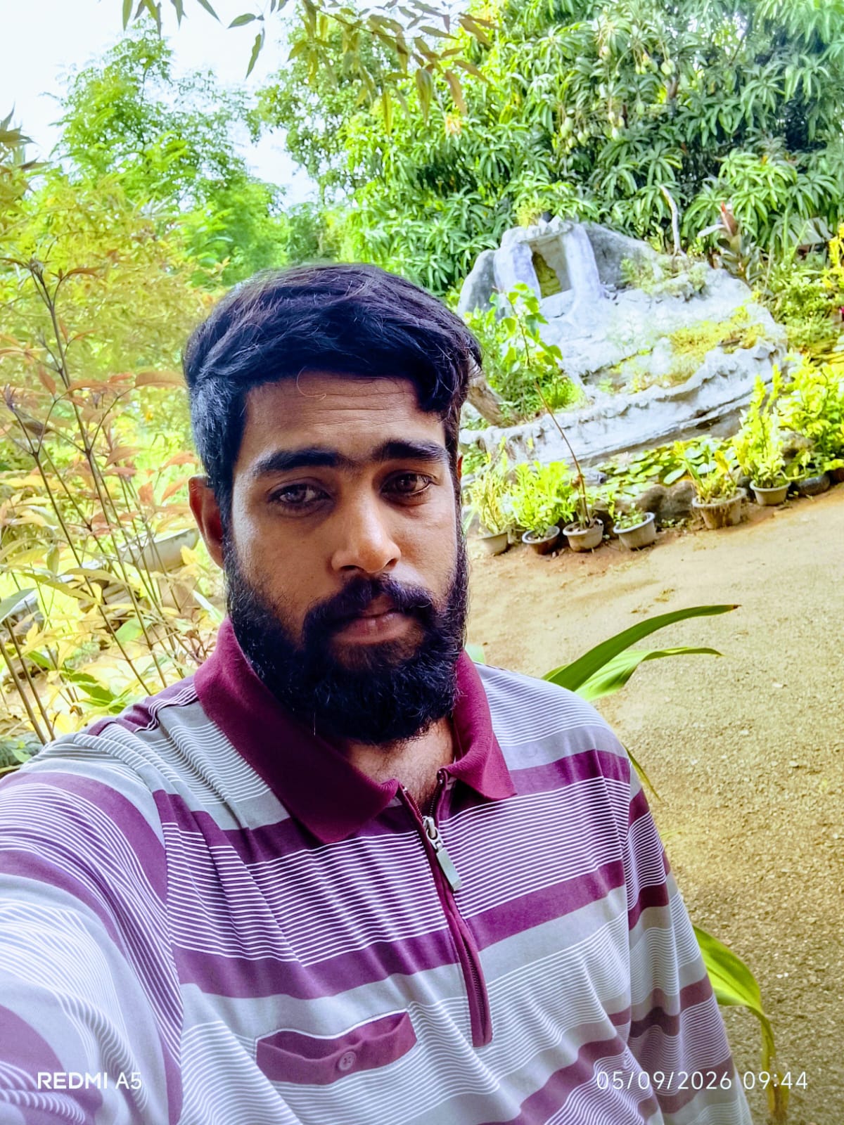 Profile photo of mayura sanju