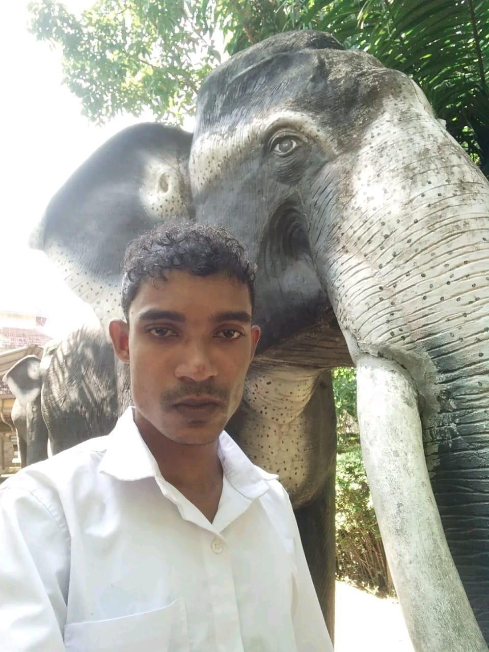 Profile photo of sameera